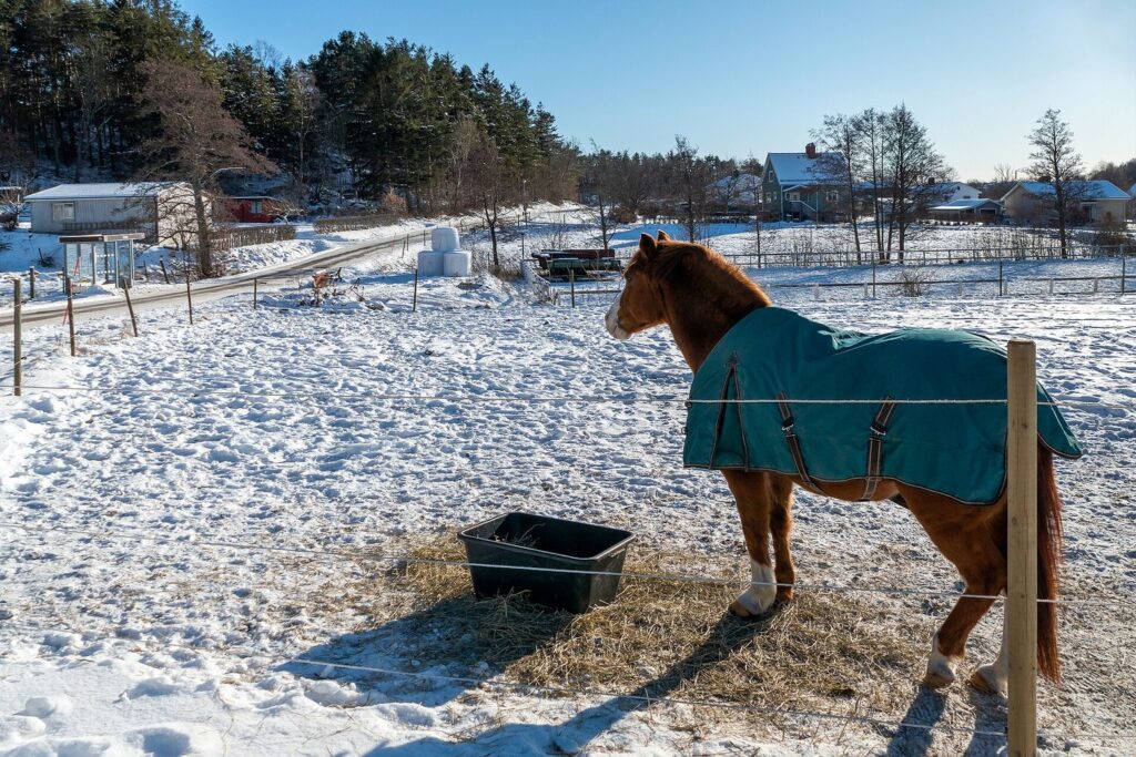 Pferd mit grüner Decke steht im verschneiten Paddock