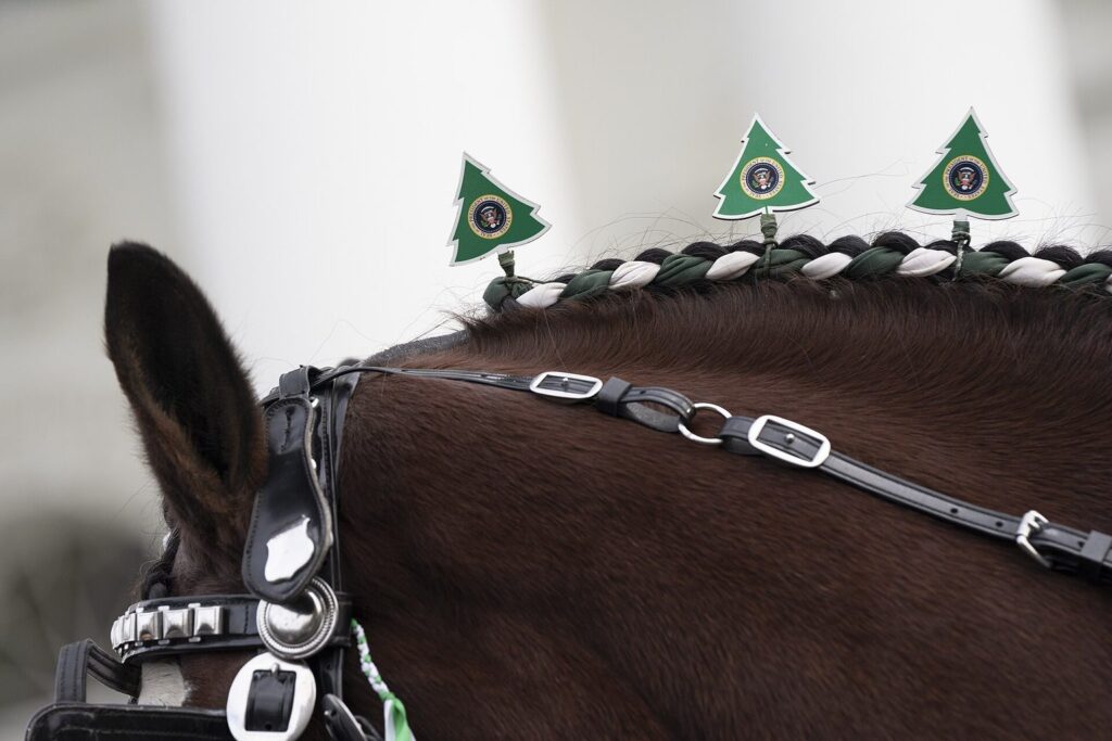 Eingeflochtene Pferdemähne mit kleinen Weihnachtsbäumen als Schmuck