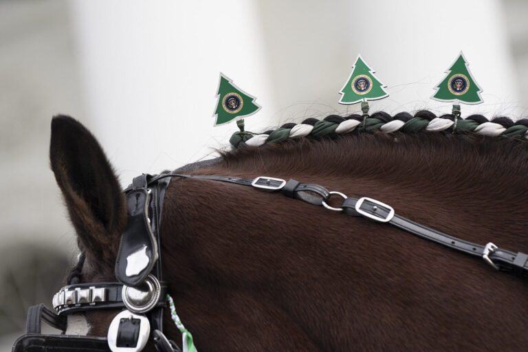 Eingeflochtene Pferdemähne mit kleinen Weihnachtsbäumen als Schmuck